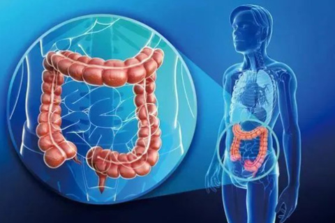 Monitorización del nervio autónomo pélvico durante la cirugía del cáncer rectal